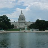  The US Capitol Washington DC